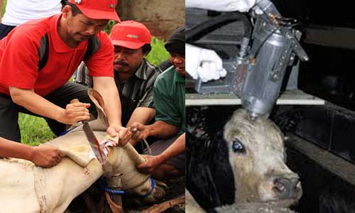 Minum Air Zam zam Sembuhkan Sakit dan Kuatkan Hafalan