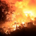 kebakaran hutan turki