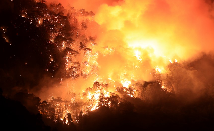 kebakaran hutan turki