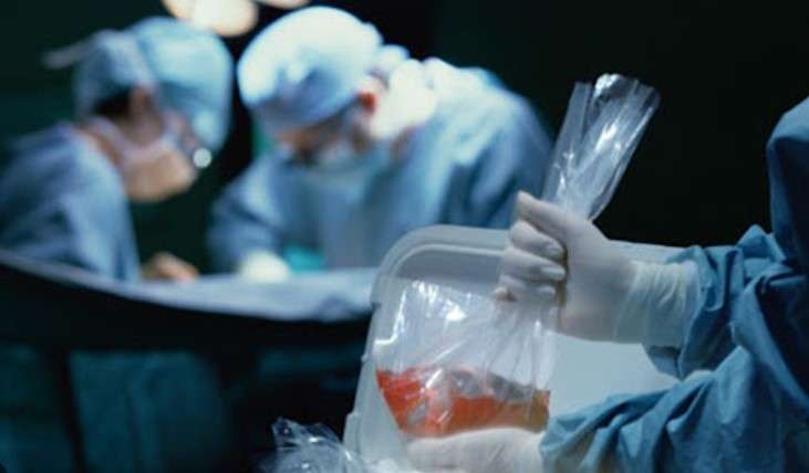 Setengah Juta Warga Saudi Ingin Donor Organ Setelah Meninggal