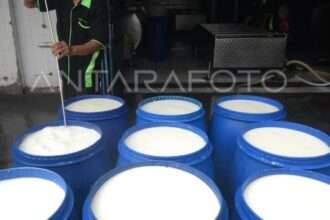 Susu Lokal