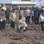 Laznas BMH dan Baitul Wakaf Gelar Penanaman Perdana Pisang Cavendish di Sleman untuk Kemandirian Ekonomi Umat
